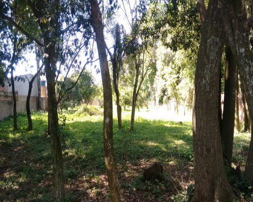 Chácara 1.100 M² - Palermo - Gravataí - Rs - 1242 - 32419763