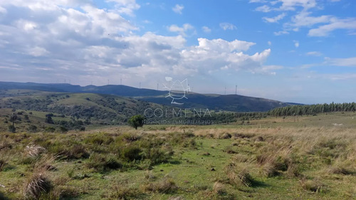 Campo De 80 Has En Paraje Carape Con Costa De Arroyo.