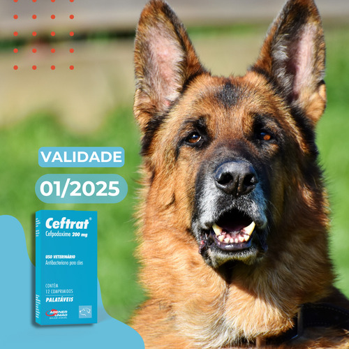 Ceftrat 200mg 12 Comprimidos Antibacteriano Para Cães Agener