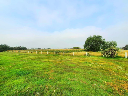 Imagen 4 de 11 de Venta De Terreno En Huitzila Tizayuca Hidalgo , Cerca Aeropu