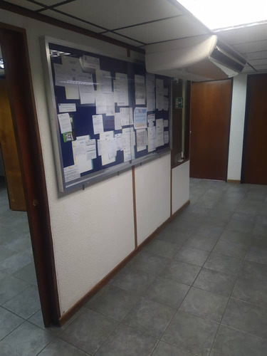 Alquiler Oficina Los Ruices 300 M2