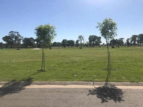 Imagen 6 de 18 de Terreno - San Ramon