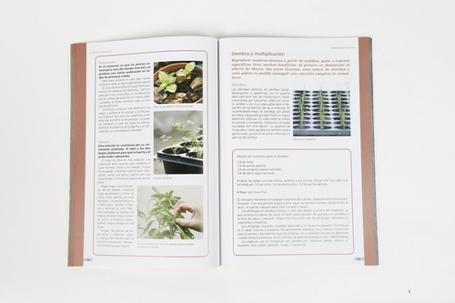 Plantas Aromáticas - María Gabriela Escrivá