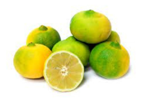Imagen 3 de 10 de Combo 5 Cítricos A Elección - Limonero Etc. E.caba Y Gba S/c