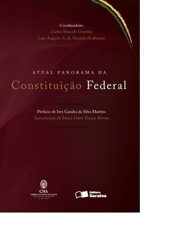 Atual Panorama Da Constituição Federal