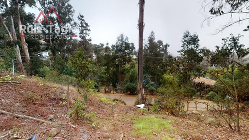 Imagen 3 de 13 de Venta De Maravilloso Terreno En Zapallar, Diego Sutil