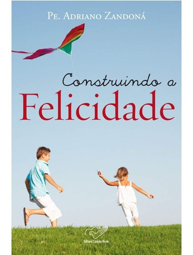 Construindo A Felicidade: Não, De Padre Adriano Zandoná. Série Não, Vol. Único. Editora Canção Nova, Capa Mole, Edição 1 Em Português, 2012