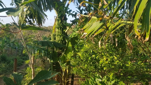 Imagen 21 de 30 de Se Vende Terreno Favorable Con Agua Y Luz Y Casita
