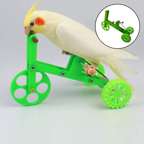 . Mini Juguete De Bicicleta De Loro, Suministros De Juguete
