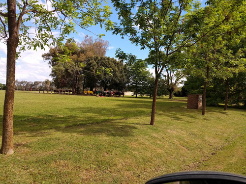 Terreno Con Añosa Arboleda Orientación Norte, A La Cancha De Polo.
