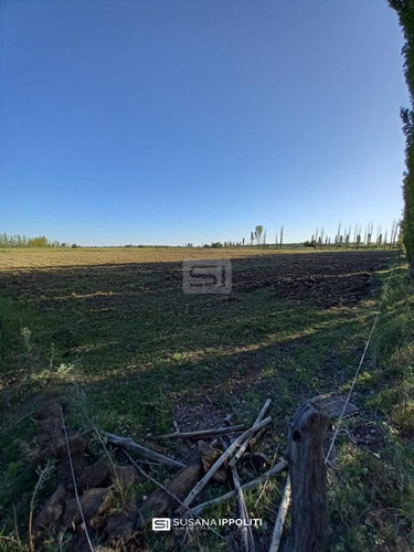 Imagen 13 de 23 de Finca Productiva De 17ha En General Alvear - Mendoza