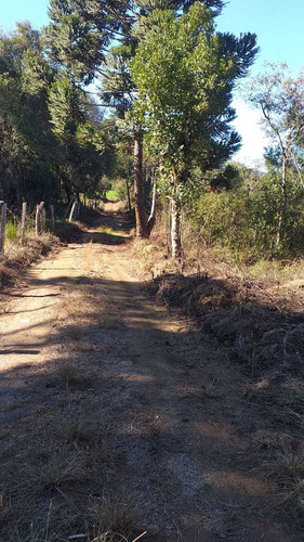 Imagem 2 de 11 de 3.630 M2 Chacara Para Formação