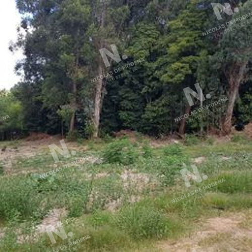 Imagen 7 de 11 de Venta Terreno - Punta Ballena Santa Hilda