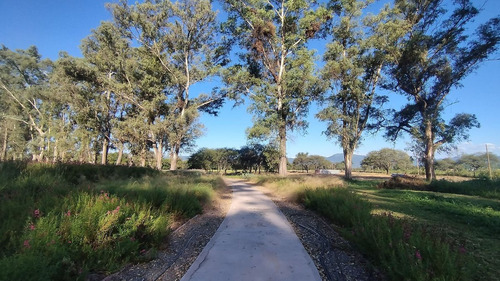 Terreno Venta Urbanizacion Los Olmos 360
