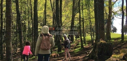 Imagen 7 de 10 de Sitio En Venta En Lago Puyehue Mantilhue