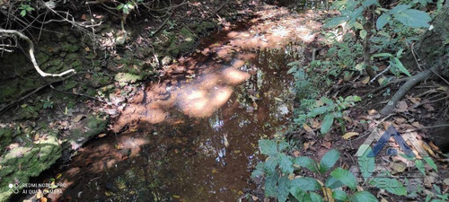 Imagem 29 de 30 de Chácara À Venda, 3000 M² Por R$ 220.000,00 - Rural - Ibiporã/pr - Ch0198