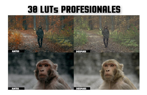 30 Luts Profesionales - Filtros De Video Cinemáticos Premium