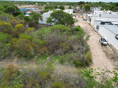 Terreno En Esquina En Venta Cholul