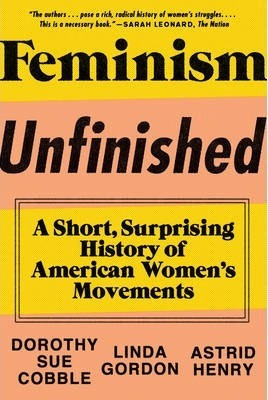 Libro Feminism Unfinished : A Short, Surprising History O...