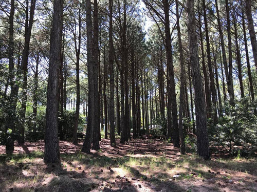 Terreno / Lote En Venta De 899m2 Ubicado En Frontera