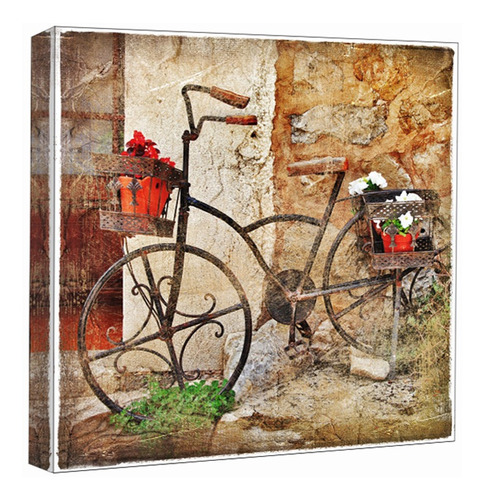 Cuadro Decorativo, Bicicleta Rustica , 50x50 Cm 