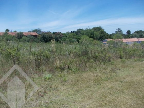 Imagem 6 de 10 de Terreno - Vila Nova - Ref: 122050 - V-122050