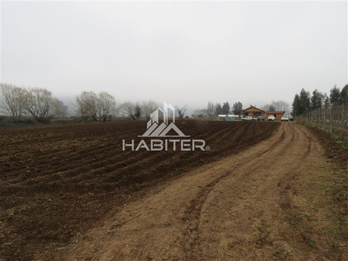Imagen 17 de 30 de Agrícola En Venta En Teno