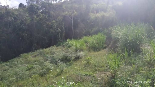 Imagen 2 de 13 de Venta De Lote De Terreno De Cuatro Hectáreas San Diego Carrizal