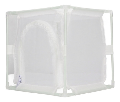 Jaula Observación Insectos Malla Pvc Blanco Reutilizable