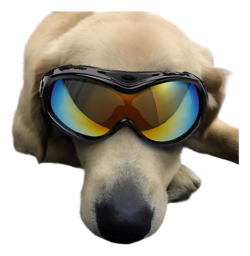 Animal Doméstico Medio De Gafas Perro Mascota Grande Imperme