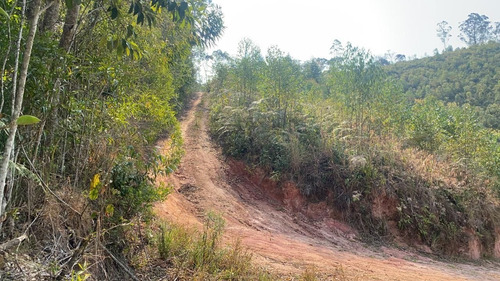 Imagem 12 de 14 de T20- Terrenos Sem Burocracia Em Igaratá Cachoeiras Próximas