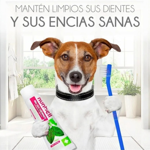 Imagen 5 de 9 de Set Tres Cepillo Para Mascotas + Pasta De Dientes - Nunbell