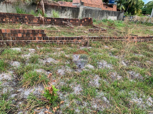 Imagem 3 de 12 de Terreno À Venda, 620 M² - Ponta De Pedras - Goiana/pe - Te0277