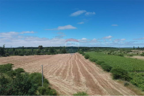 Se Vende Terreno De 21.700 M2 - Orilla De Camino