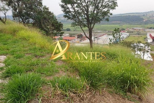 Imagem 6 de 6 de Terreno - Te00012 - 69660815