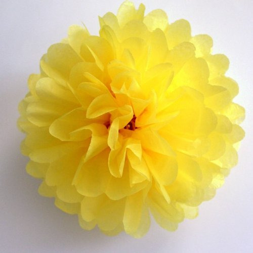 Pompon Papel Seda Forma Flor Para Matrimonio Decoraci 10