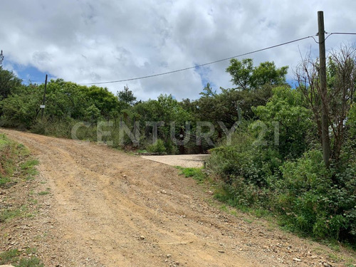 Venta De 3 Lotes En San Andrés Huayapam