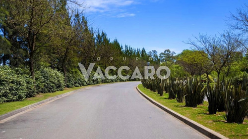 Country Terravista