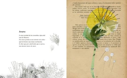 Vademecum De La Flora Naturalis Imaginaria. Calibroscopio