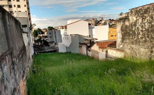 Imagem 3 de 4 de Terreno Para Aluguel, Gilda - Santo André/sp - 12922