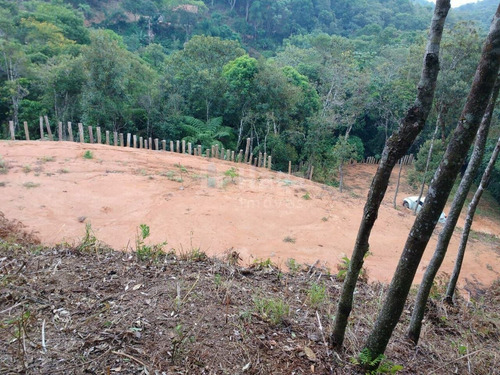Imagem 14 de 16 de Chácara À Venda Em Brusque/sc - 1192c