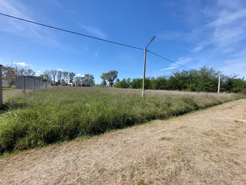 Lote De Gran Dimension En Zona De Quintas