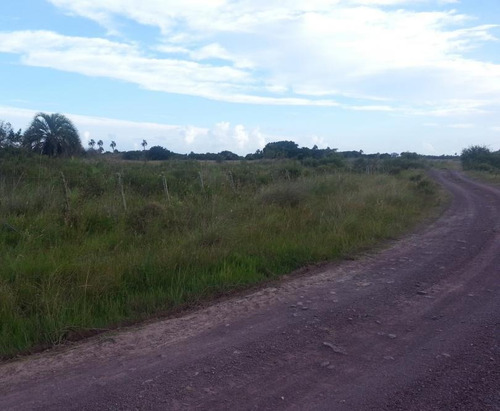 Venta De Campo En Rocha