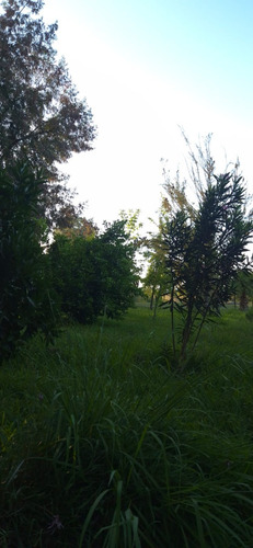 Parcela En Venta, Pelarco, Sector Lo Patricio