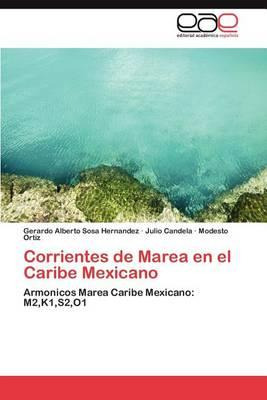 Libro Corrientes De Marea En El Caribe Mexicano - Gerardo...