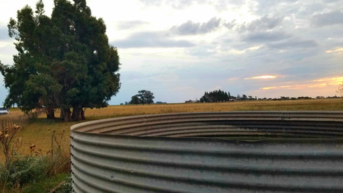 Vendo O Permuto Chacra De 2 Hectareas A 40 Minutos De Tandil