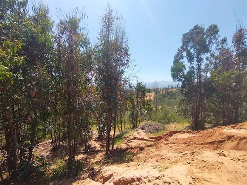 Parcela En Venta En Limache