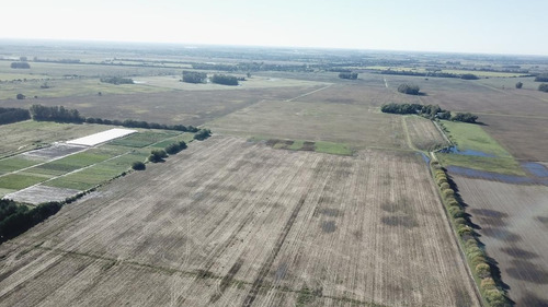 430 Has. Agrícolas Sobre Asfalto