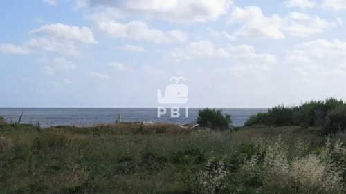 Terreno En Venta Punta Ballena - Ref : Pbi975
