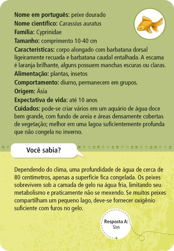 Galápagos, 50 Bichos De Estimação, Educaciona